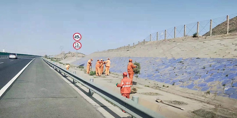 清理路边杂草.jpg