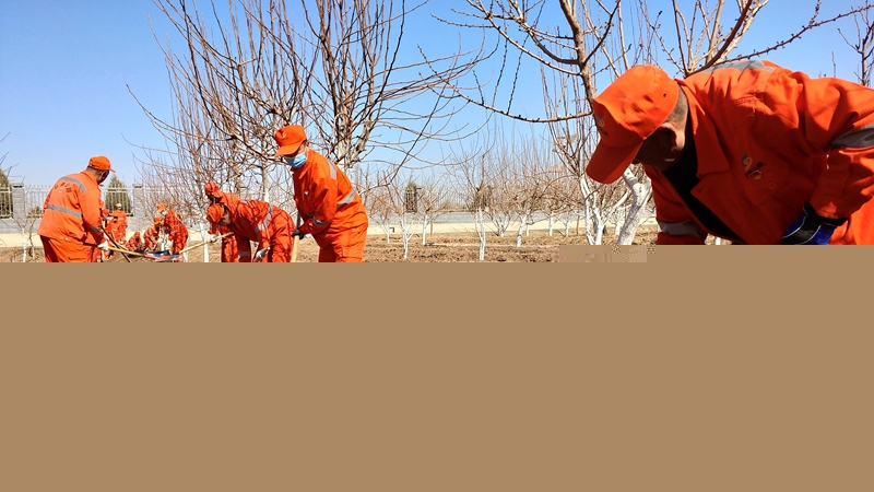 机关人员下一线劳动.jpg