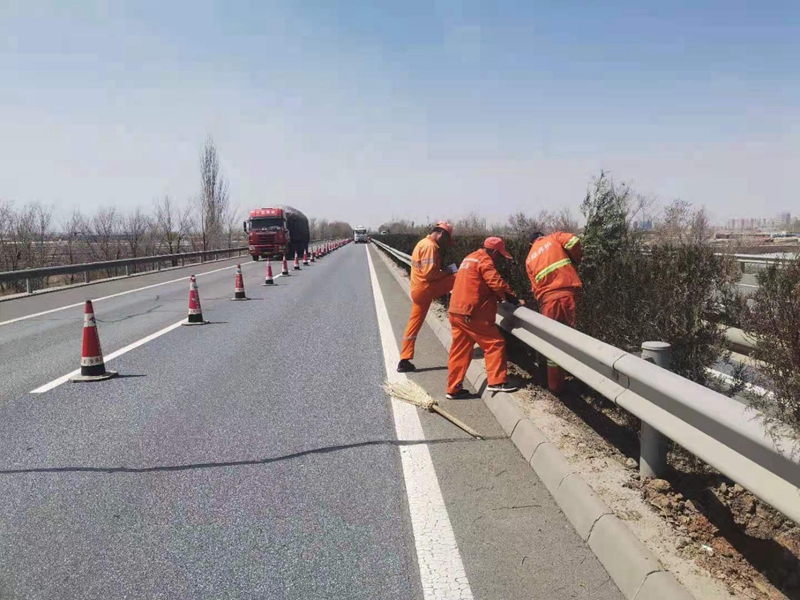 进行绿化补植.jpg