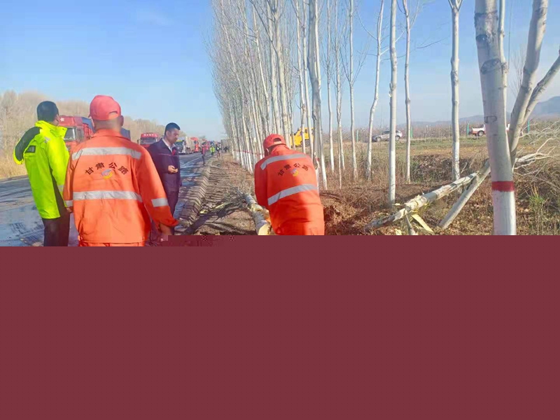 清理撞倒树木郑兴红摄.jpg