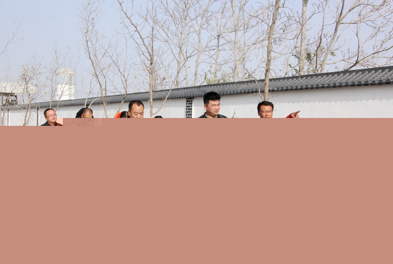 现场查验“双化”工程实体.JPG