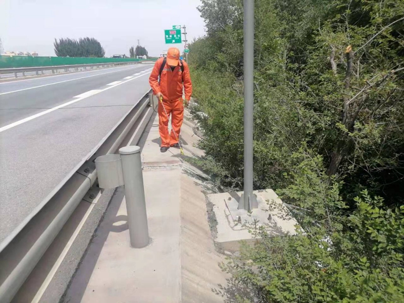 对路肩缝隙杂草进行打药清除.jpg
