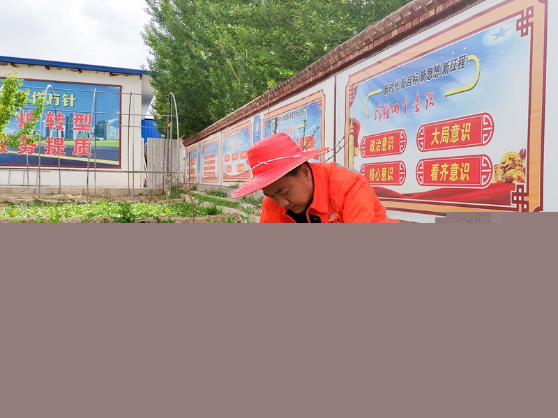 “下一线”干部整理菜园.jpg