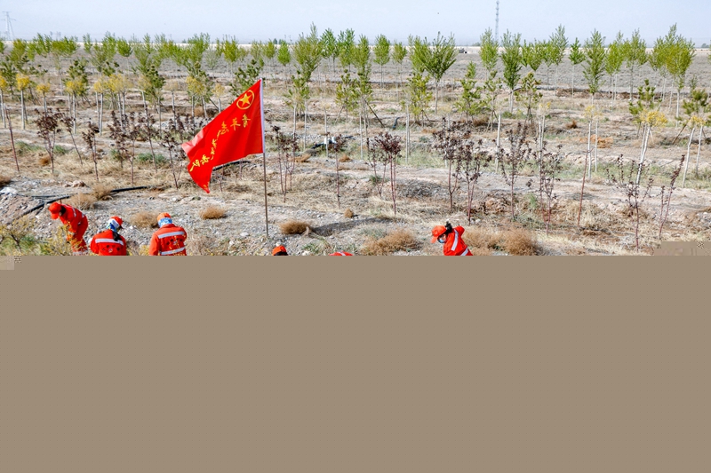参加义务植树活动（陈银国 摄）.jpg