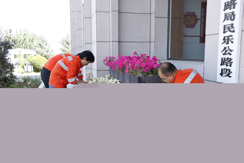 清理花篮杂草（杨明月 摄）.JPG