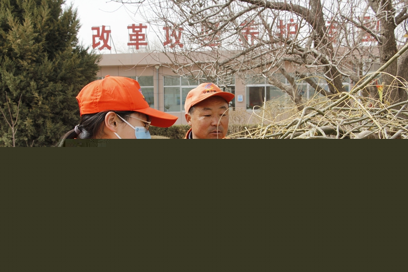 青年职工学习树木修剪知识.JPG