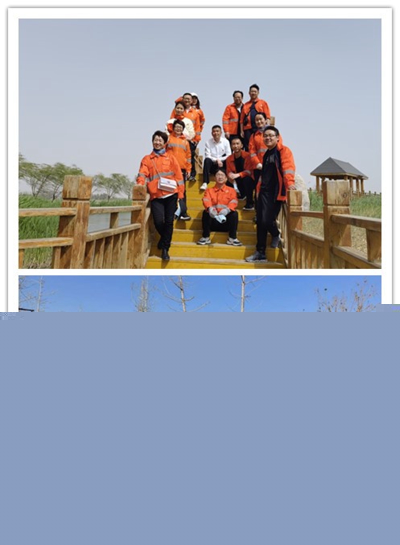 环湿地健步走活动.jpg
