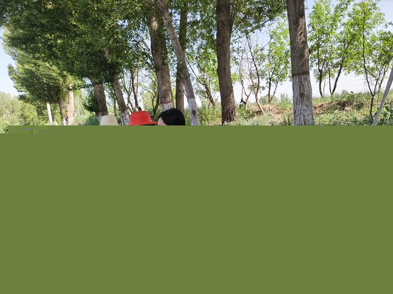 王熙敏副局长对养护生产工作进行检查（王小兵摄）.jpg