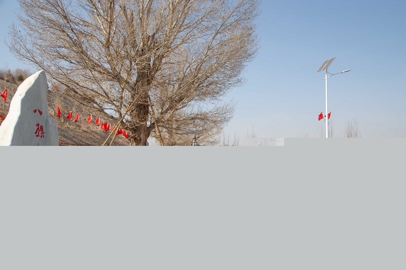 2.在八棵树公路文化广场重温入党誓词.jpg