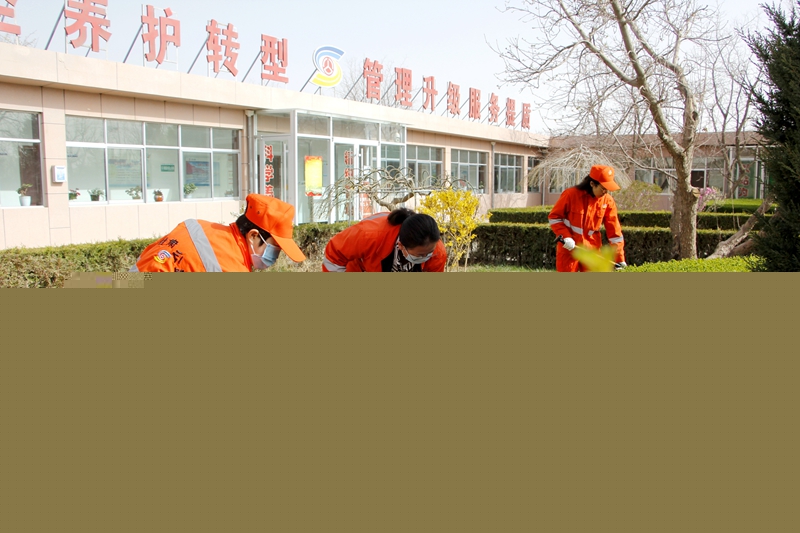 职工清理草丛中杂物.JPG